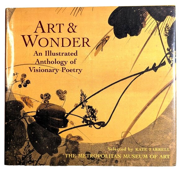 Visionary Poetry Book ART & WONDER illustrated occult surreal angel zodiac poems - Picture 2 of 15